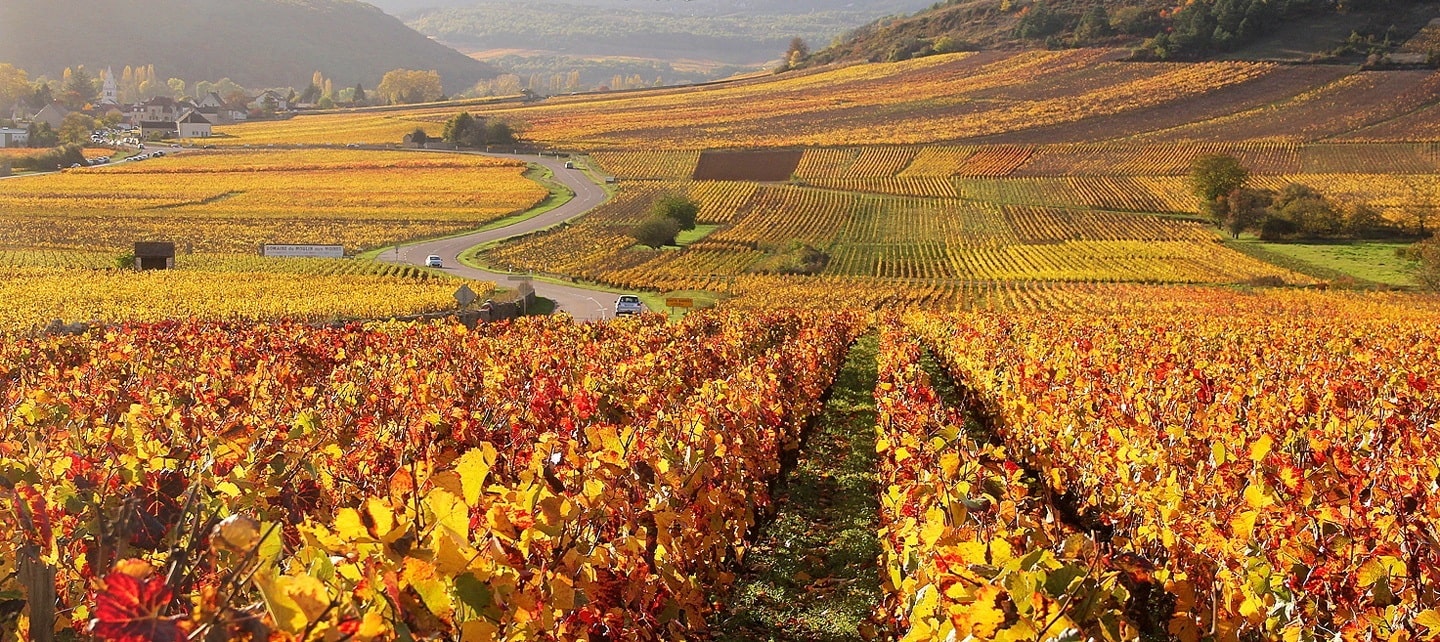 Burgundy on a Plate - Burgundy Wine Tours